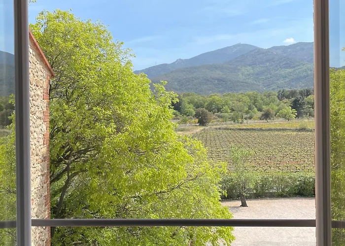 オーベルジュ　デュ　ルーア ホテル 4*